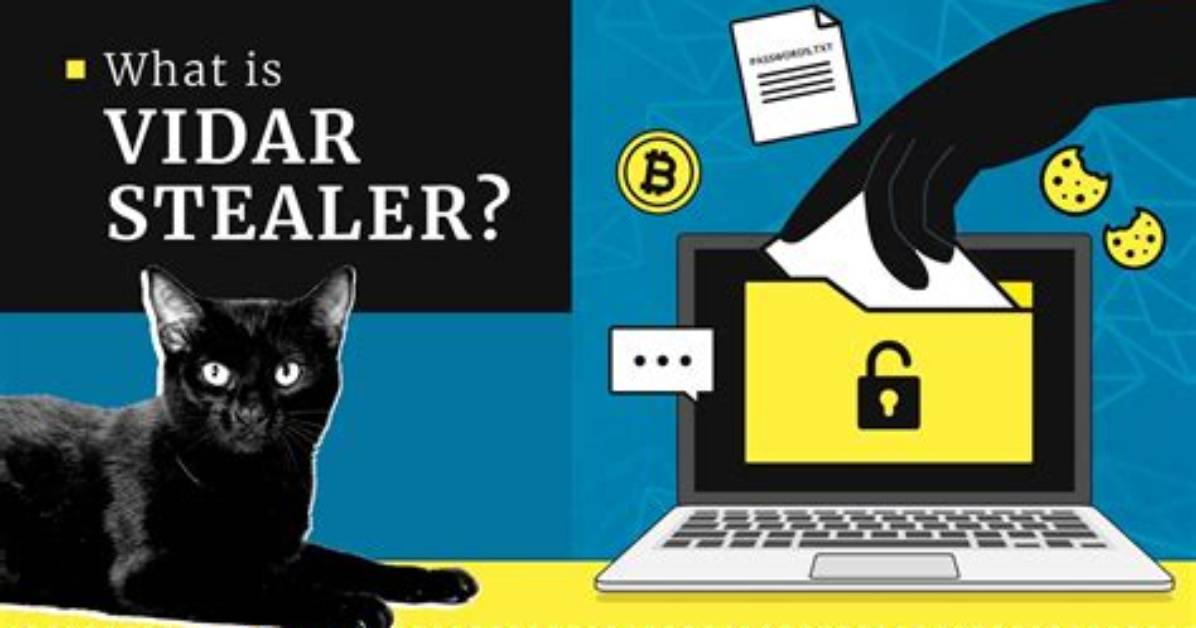 Spyware. Vidar