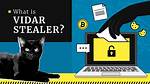 Spyware. Vidar