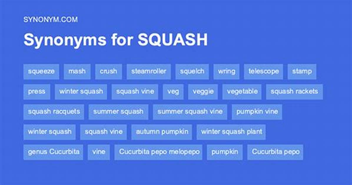 Squash Synonym