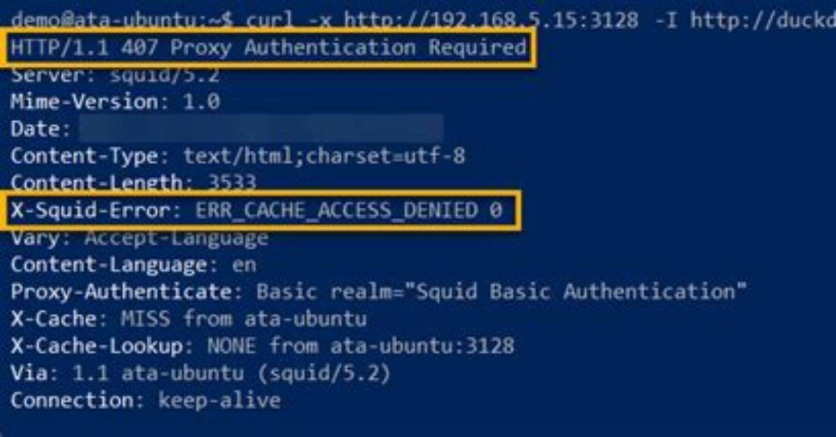 Squid Cache Access Denied