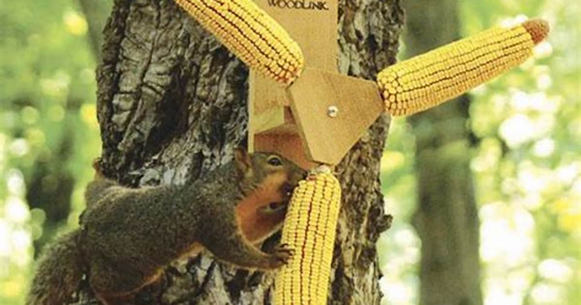 Squirrel Corn Feeder