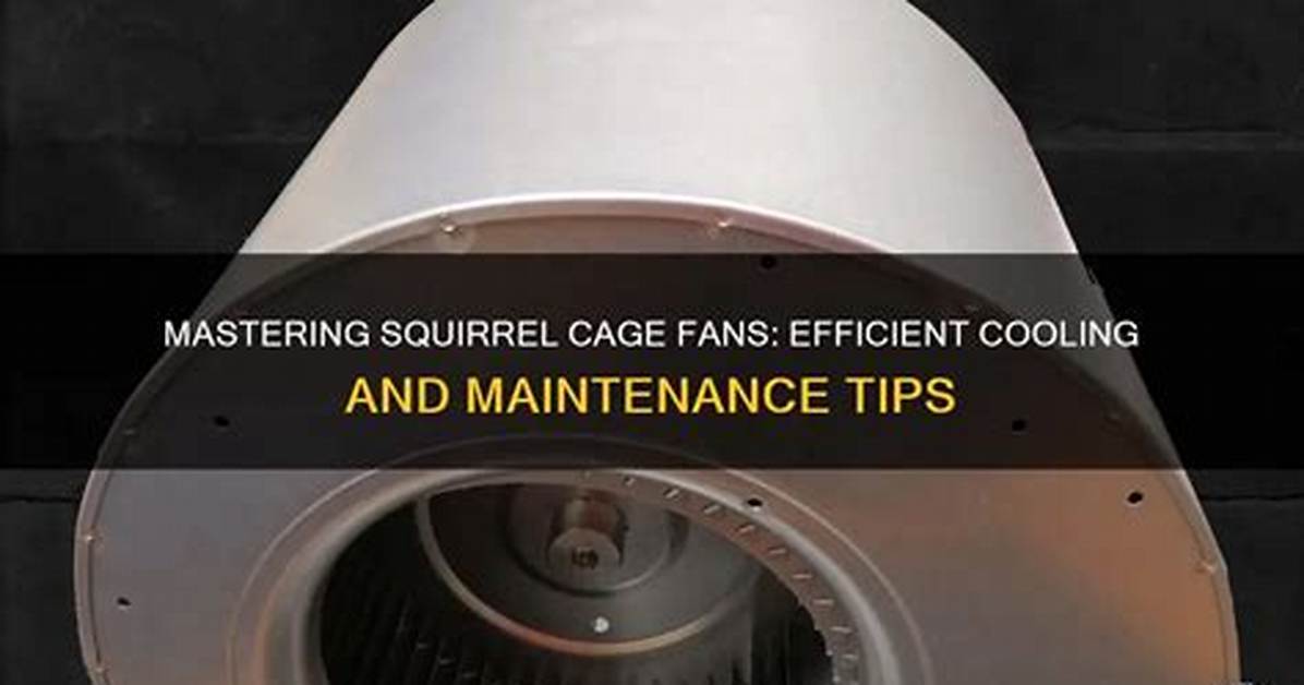 Squirrel Fan