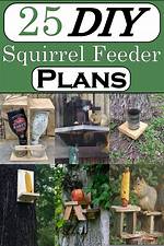 Squirrel Feeder Diy