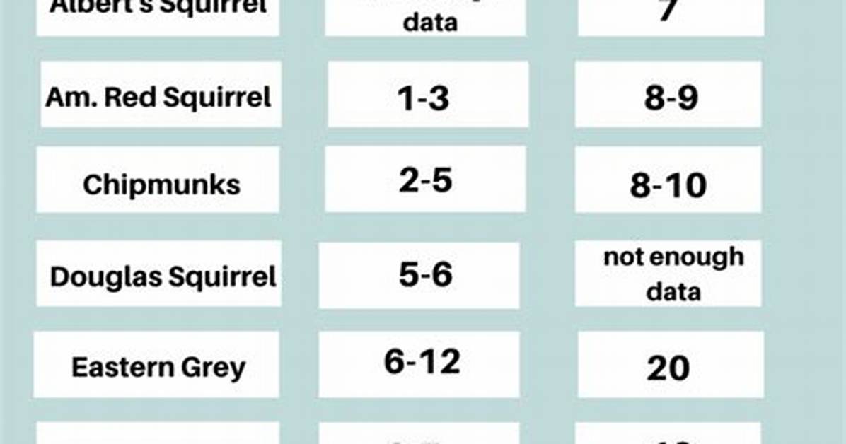 Squirrel Life Expectancy