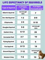 Squirrel Life Expectancy