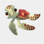 Squirt from Finding Nemo