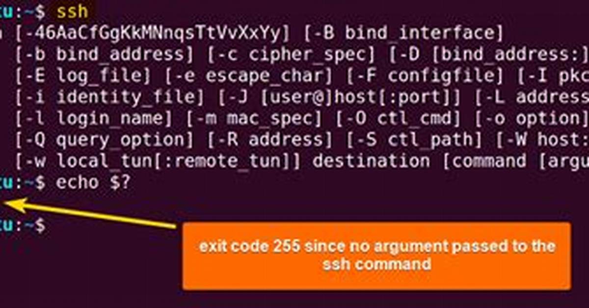 Ssh Script Returns 255 Error