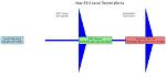 Ssh Tunnel Logging?