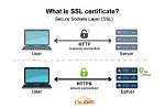 Ssl Cert Does Not Work with Ip Address for San