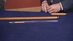 St. Louis Coffin Co. Cane, Ca. 1920 | Antiques Roadshow