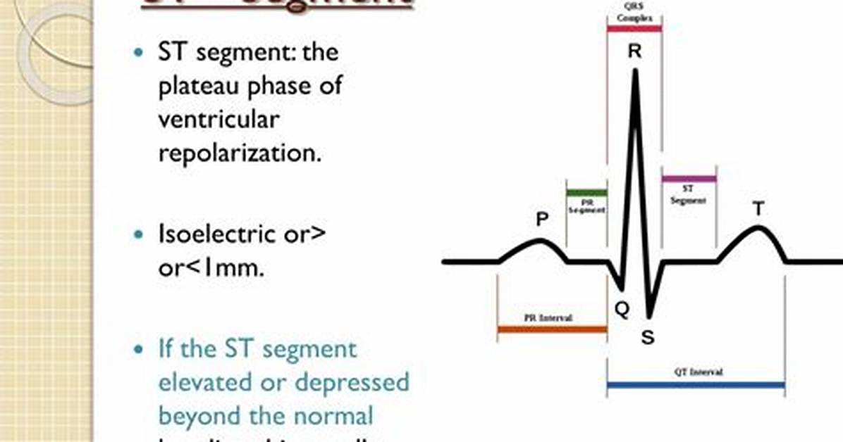 St Segment Represents