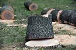 Stacks Cut