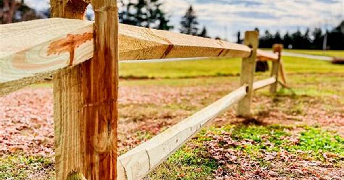 Staining Split Rail Fence