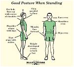 Stand ___ (Have Good Posture)