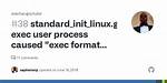 Standard_Init_Linux. Go:178: Exec User Process Caused "Exec Format Error"
