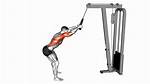 Standing Lat Pushdown