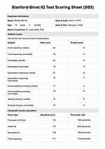 Stanford Binet Test