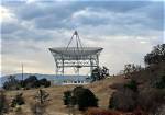 Stanford Dish