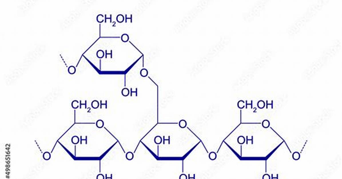 Starch Molecule