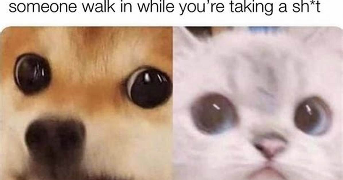 Stare Awkwardly