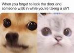 Stare Awkwardly