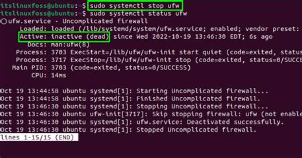 Start Service with Sudo