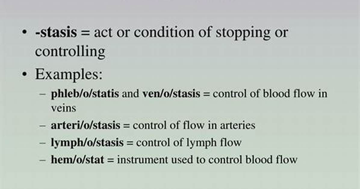 Stasis Suffix