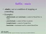 Stasis Suffix