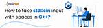 Std: :Cin Input with Spaces?