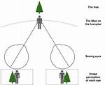 Stereopsis