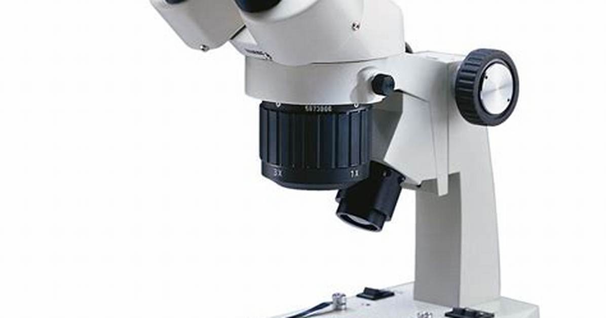 Stereoscopic Microscope