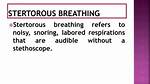 Stertorous Breathing