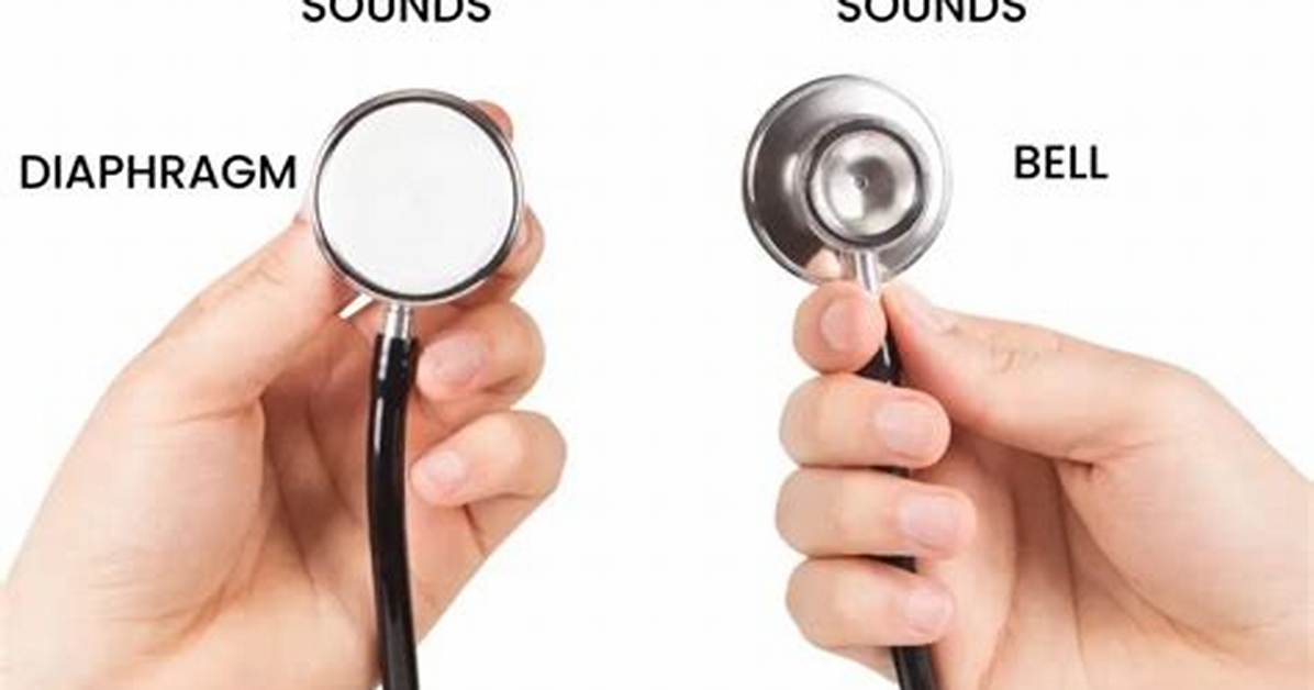 Stethoscope Bell