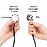 Stethoscope Bell