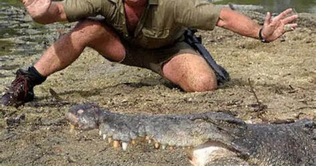 Steve Irwin