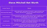 Steve Mitchell Net Worth