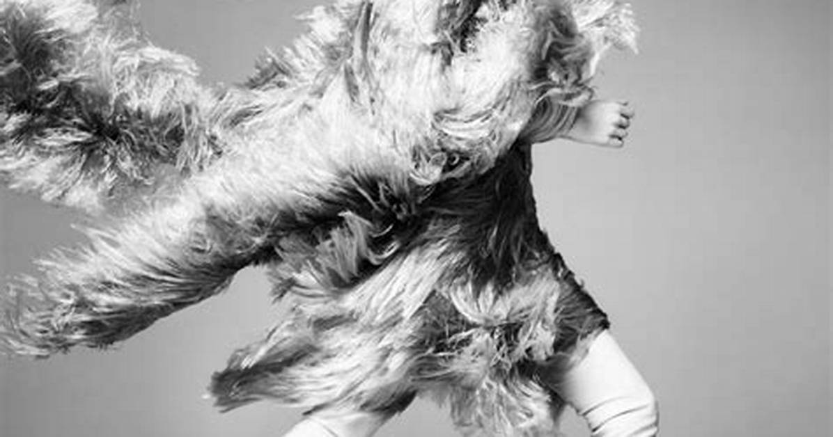 Steven Meisel