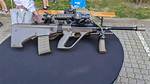 Steyer Aug