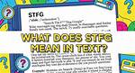 Stfg Meaning
