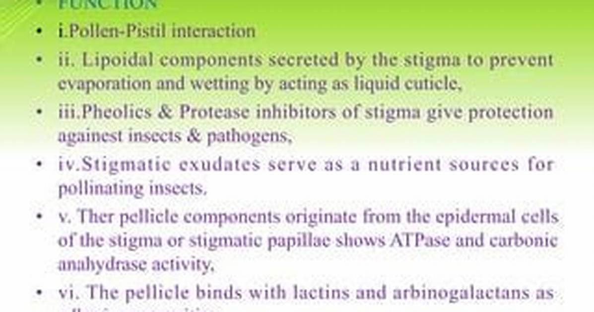 Stigma Function