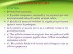 Stigma Function