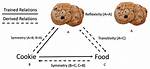 Stimulus Equivalence