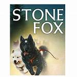 Stone Fox Book