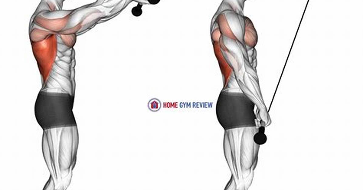 Straight Arm Pushdowns