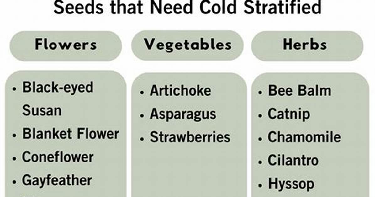 Stratify Seeds