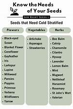 Stratify Seeds