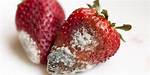 Strawberry Mold
