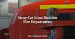 Stray Cat Joins Russian Fire Department