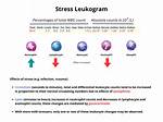 Stress Leukogram