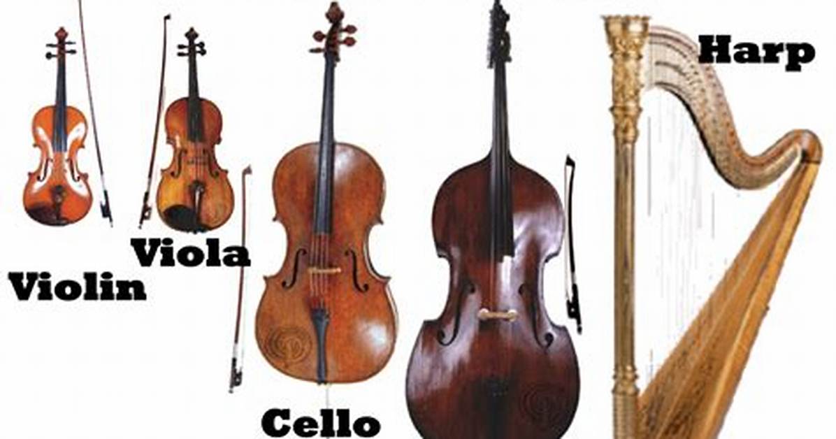 String Family Instruments